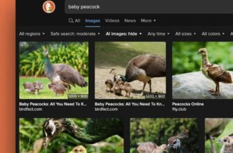 DuckDuckGo now lets you filter out AI photos in search outcomes