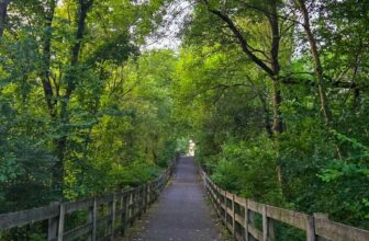 The Little Issues Publication #479 – Life, laughter, and plenty of nice meals!