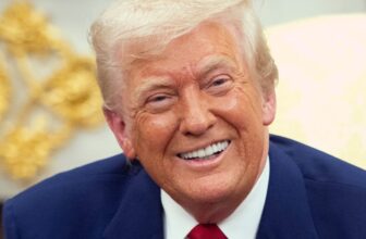 Can ‘MechaHitler’ Cross Trump’s Anti-Woke AI Take a look at?