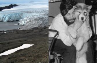 Glacier Soften Reveals Stays of Antarctic Meteorologist Misplaced 66 Years In the past