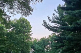 The Little Issues E-newsletter #481 – Life, laughter, and many nice meals!