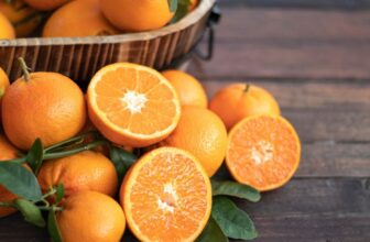 Girl’s Bruising From a Therapeutic massage Gun Was a Signal of One thing Far Worse: Scurvy