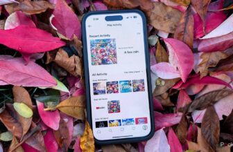 Nintendo simply quietly launched a enjoyable solution to revisit your 3DS and Wii U days